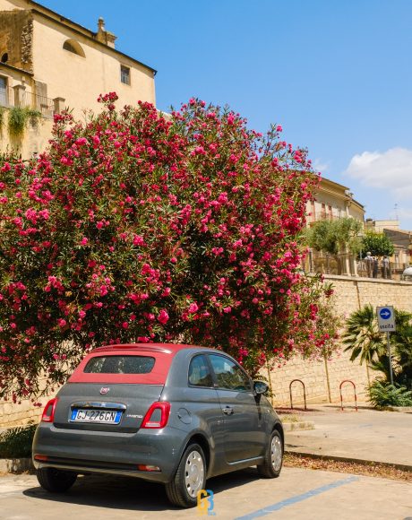 gabrielbaciu.ro 240626 XT5X5623 Ragusa