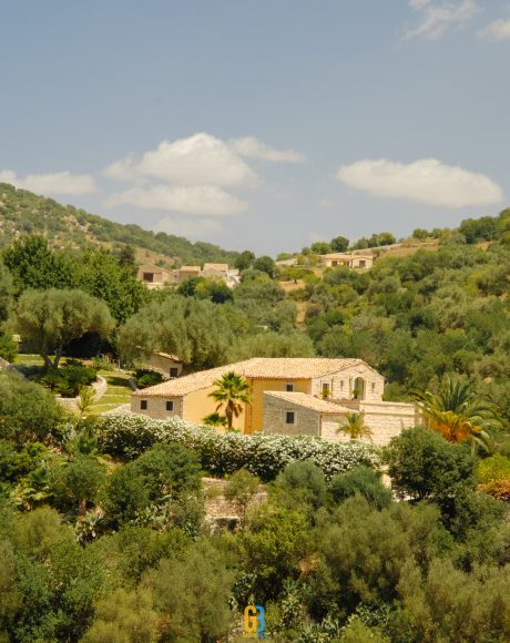 gabrielbaciu.ro 240626 XT5X5670 Ragusa