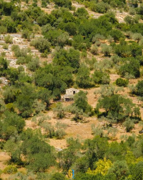 gabrielbaciu.ro 240626 XT5X5675 Ragusa