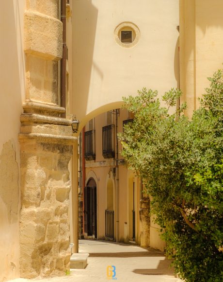gabrielbaciu.ro 240626 XT5X5735 Ragusa