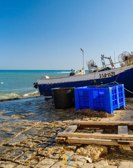 gabrielbaciu.ro 240626 XT5X6179 Sampieri