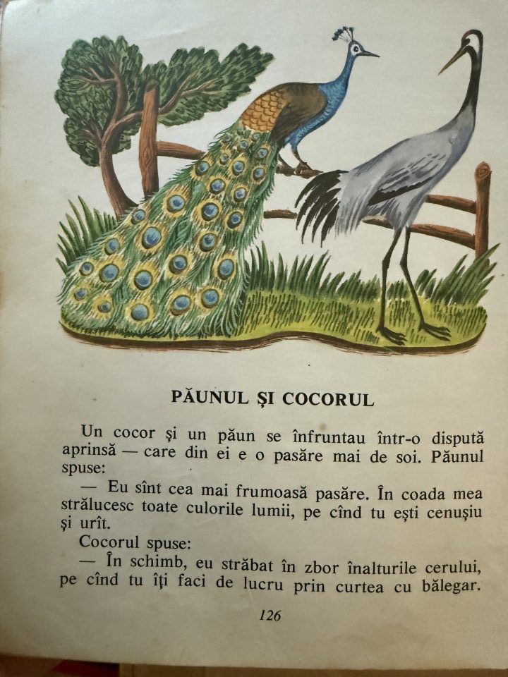 Cărțile pe care nu le pot da nimănui 4 img 8564 e1791995992816